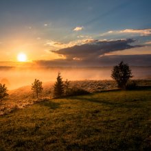 Sun setting over hill with scattered fir trees