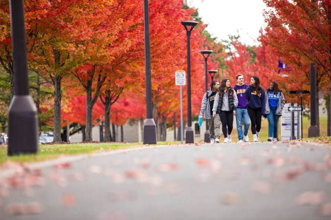 Five students walking together admiring the fall foliage on campus.