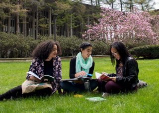 Three students study while sitting on the grassy lawn.