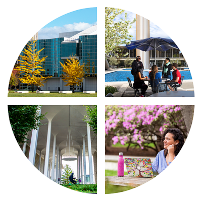 Four pictures from around UAlbany campus