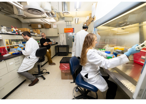 A woman with long blond hair wearing a white lab coat and protective glasses works with pipettes under a glass lab hood. Three other people are at work and conversing behind her.