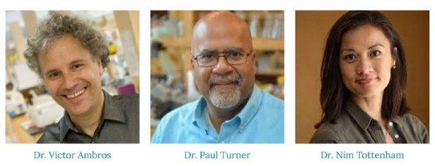 A composite of Victor Ambros, Paul Turner and Nim Tottenham, with their names displayed in light blue text under each photo.