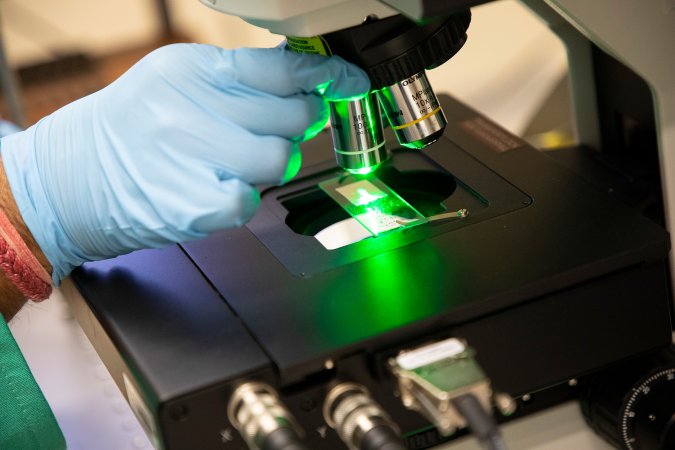A green-colored laser shines on a sample in Lednev's lab.