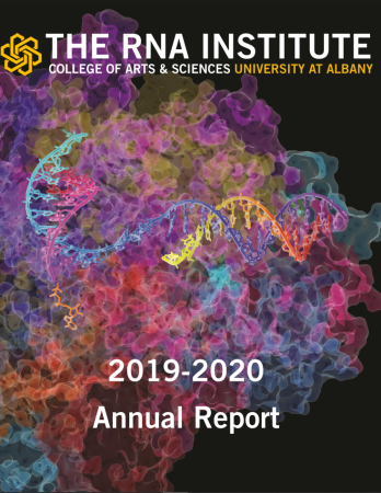 RNA Institute Annual Report Cover 2019-2020 depicting colorful RNA polymerase II.
