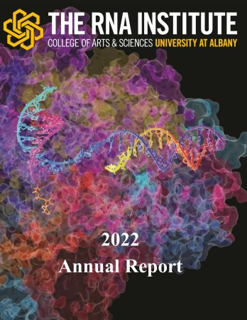 The RNA Institute 2020-2021 Annual Report cover depicting colorful RNA polymerase II.