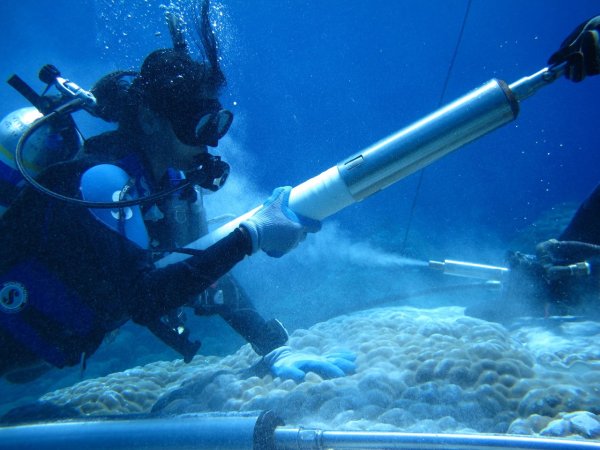 Sujata Murty uses an underwater drill to collect coral samples.