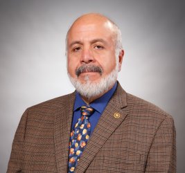 Luis Felipe Luna-Reyes