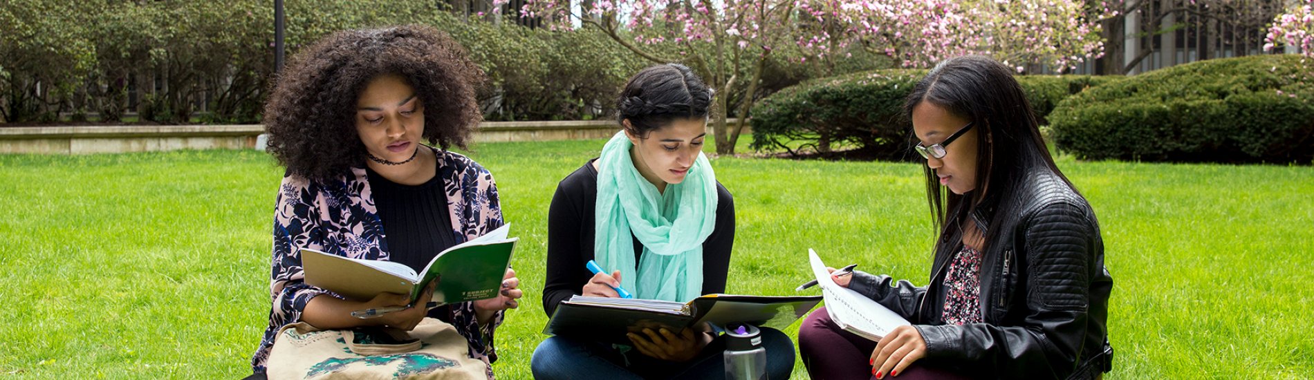 Three students studying in the UAlbany west garden.