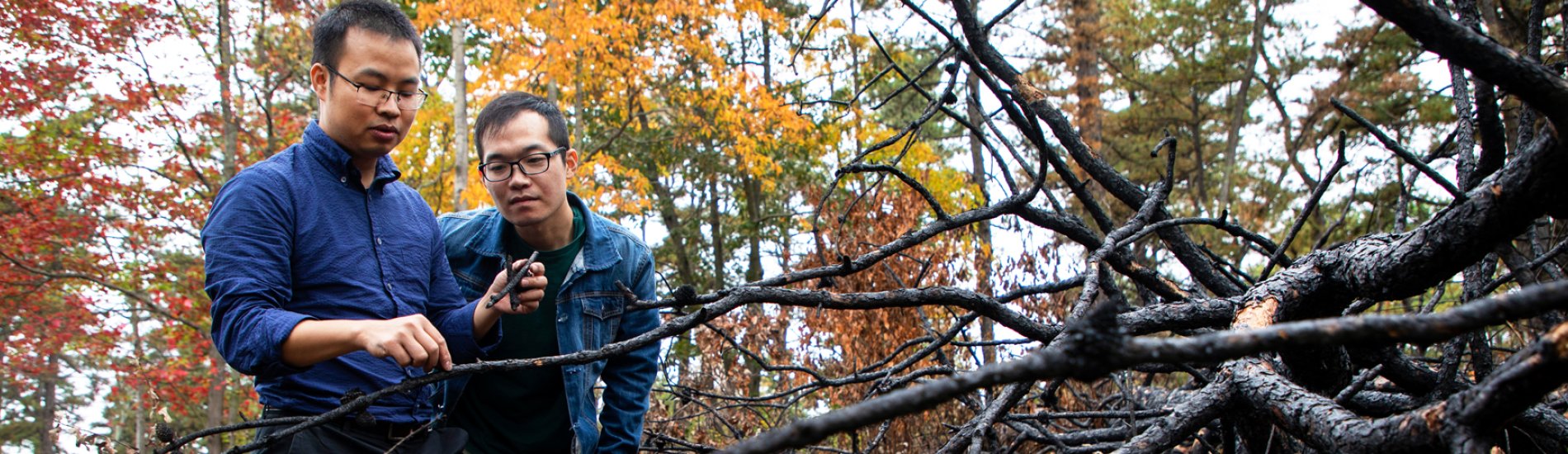 UAlbany Environmental and Sustainable Engineering researchers study how enzymes degrade charcoal from fires in Albany's Pine Bush preserve.