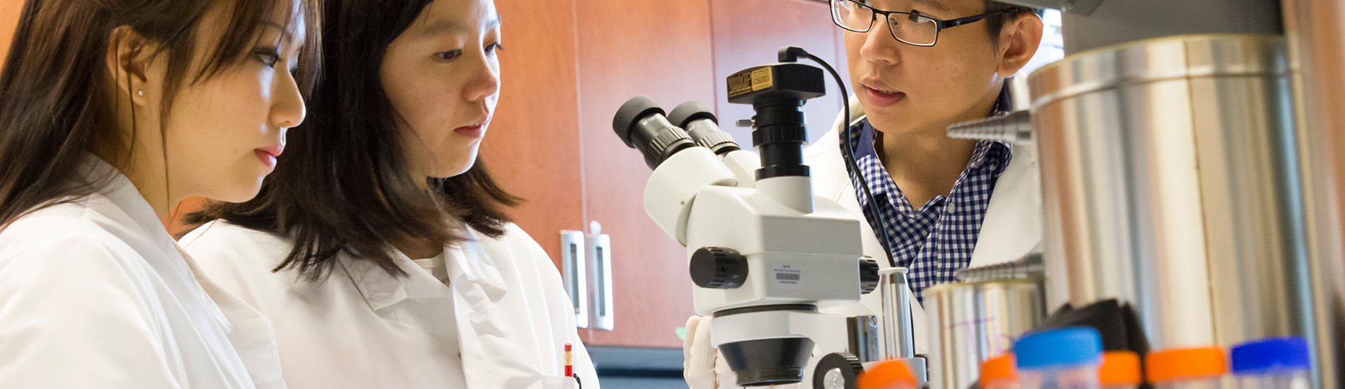 Three researchers working in a UAlbany biology lab.