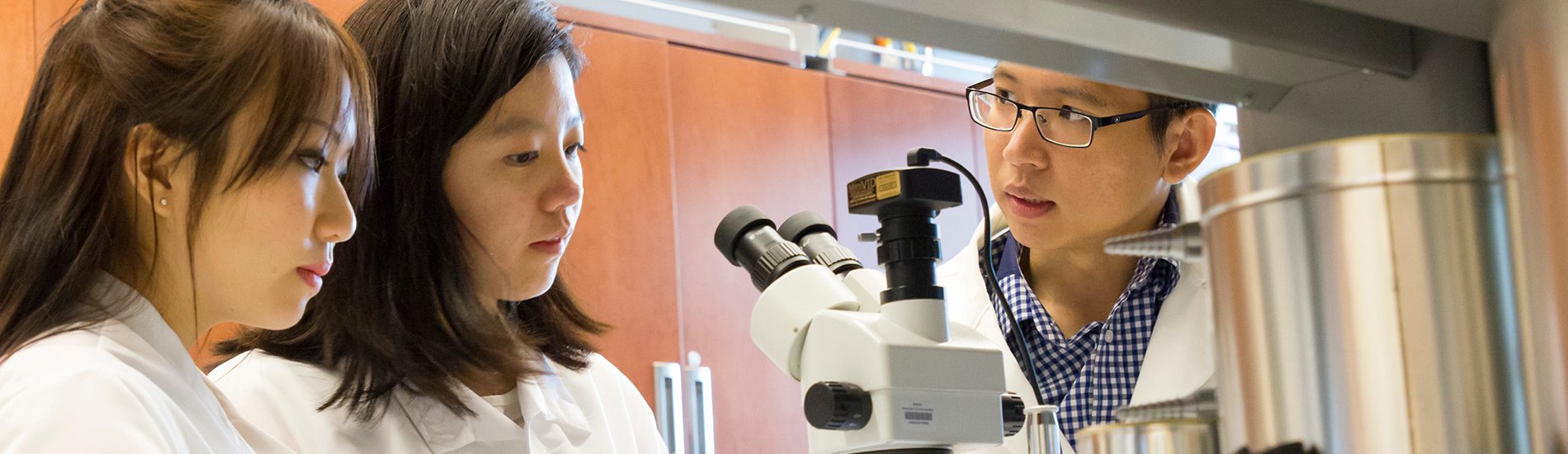 Students conducting research in a chemistry lab.