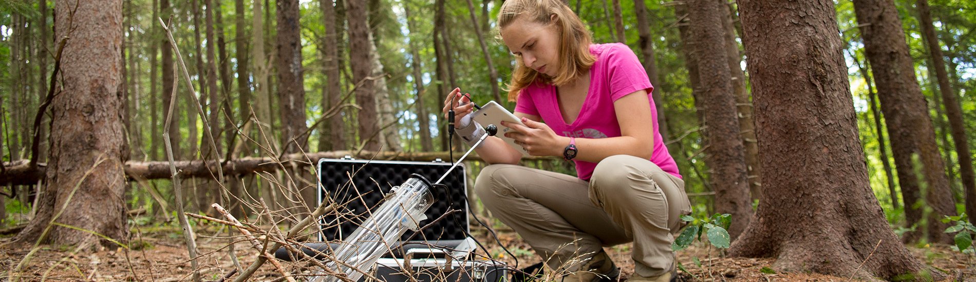 A UAlbany student conducting environmental science field research.