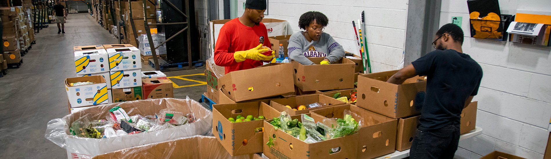 A group of UAlbany students sorting fruits and vegetables while volunteering at the Regional Food Bank.