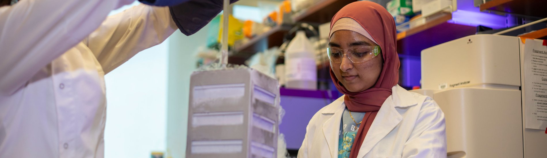 Two researchers wearing protective glasses, coats and gloves pull specimens out of liquid nitrogen storage.