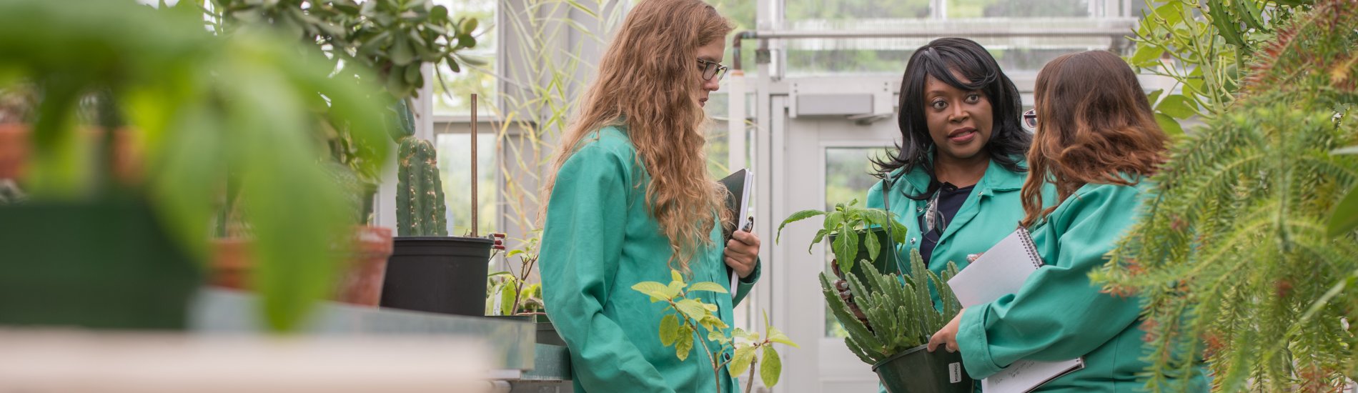 Students working with a professor and plants in a greenhouse chemistry lab.