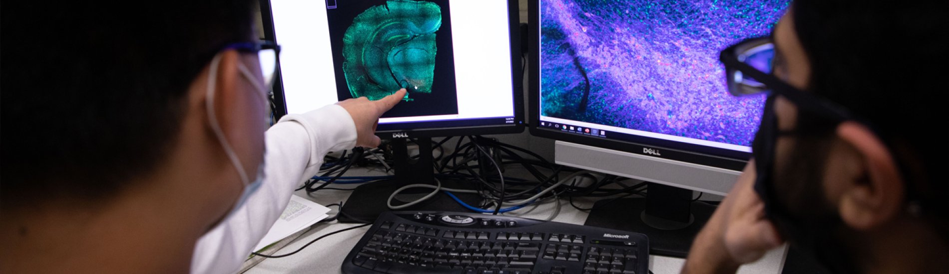 Two students look at a pair of monitors. The student on the left is pointing at the left monitor, which is showing a teal and black display of neuroscience research.