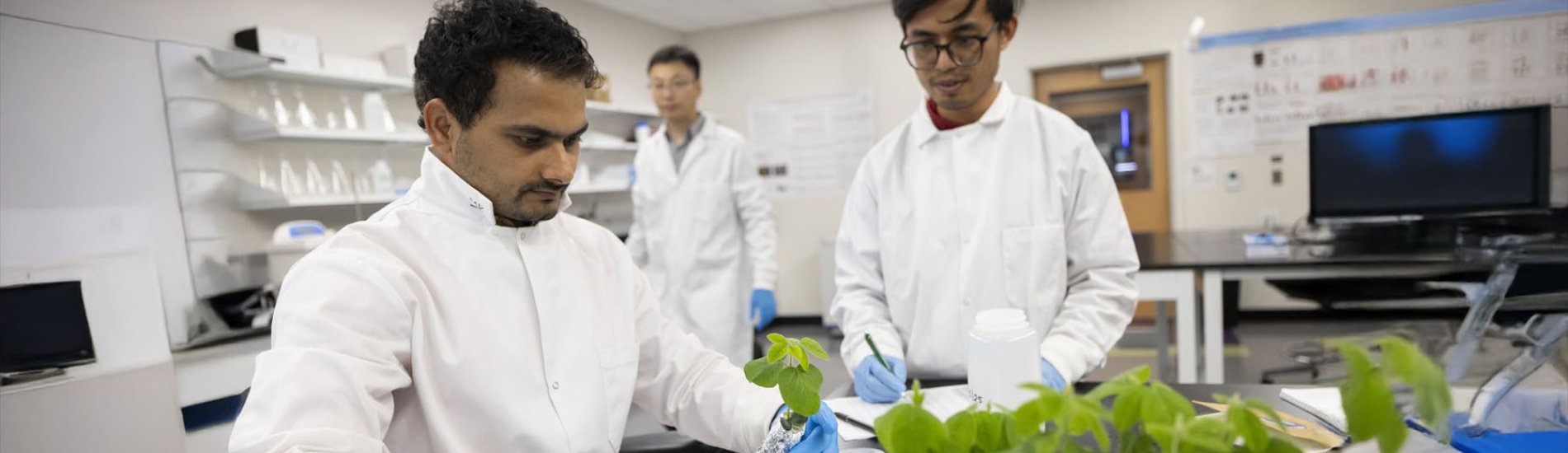 Weilan Zhang team working in the lab.