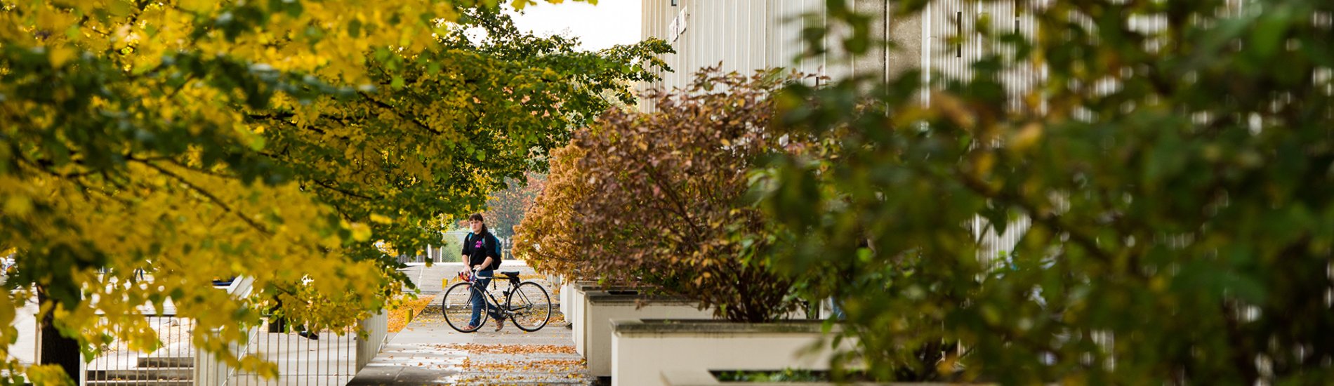 A student walking their bicycle across the academic Podium on campus.