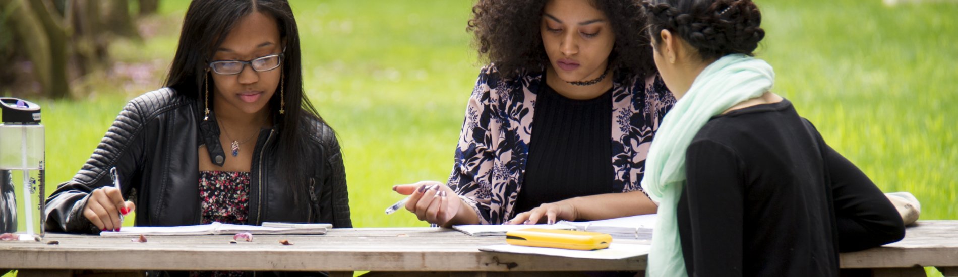 UAlbany students studying together at picnic table
