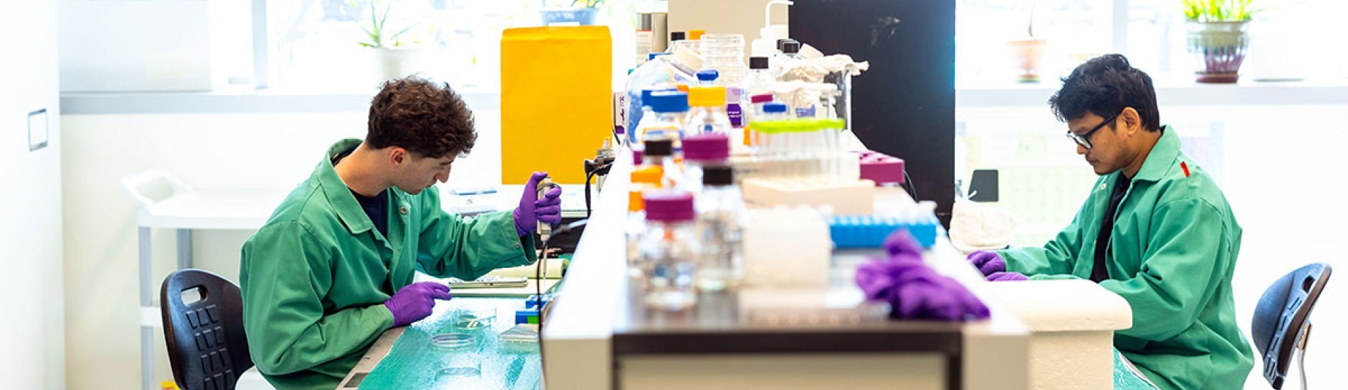 Two researchers working across from each other in a lab.