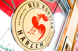 Red Rooster - Harlem