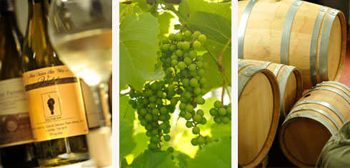 Wine, grapes and barrels at Natural Selection Farm