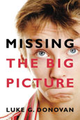 Missing the Big Picture book cover