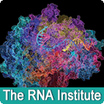 The RNA Institute