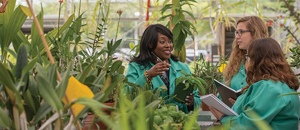 Student researchers and professor in UAlbany greenhouses