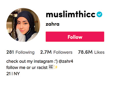Zahra's TikTok profile with followers and likes.