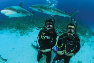 Dominic Varrialle and son go shark diving