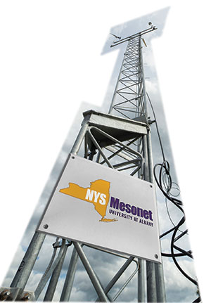 Mesonet
