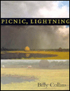 Picnic, Lightning
