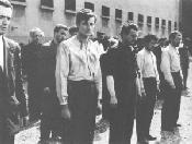 man_escaped.jpg - 6066 Bytes