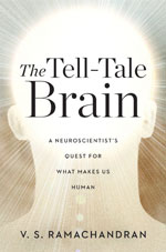 The Tell-Tale Brain